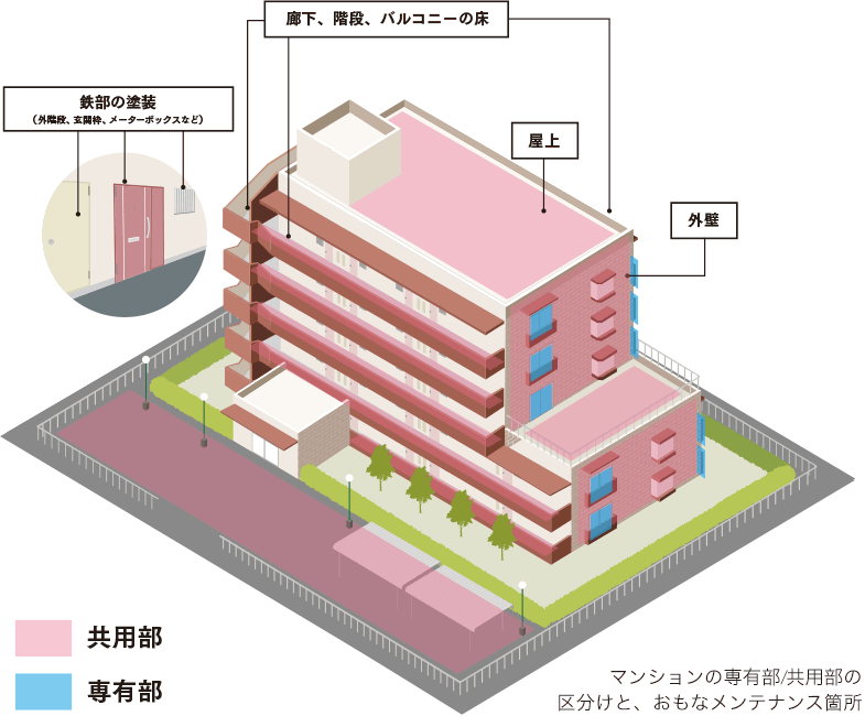 マンションの専有部/共用部の区分けと、おもなメンテナンス箇所